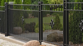 Zielony parkan – jakie rośliny posadzić przy ogrodzeniu?