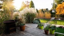 Jak przygotować drewniany taras do zimy? Praktyczne rady od eksperta