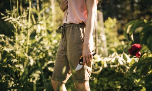 Winogronowe zbiory – jesienna dawka witamin